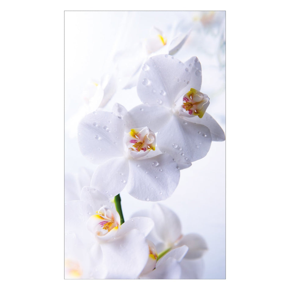 Duschrückwand nach maß