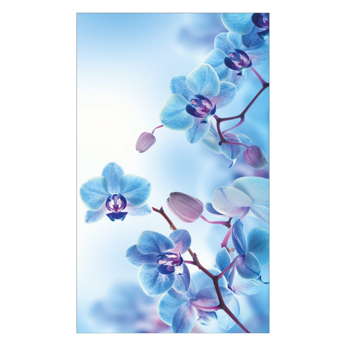 Duschrückwand nach maß