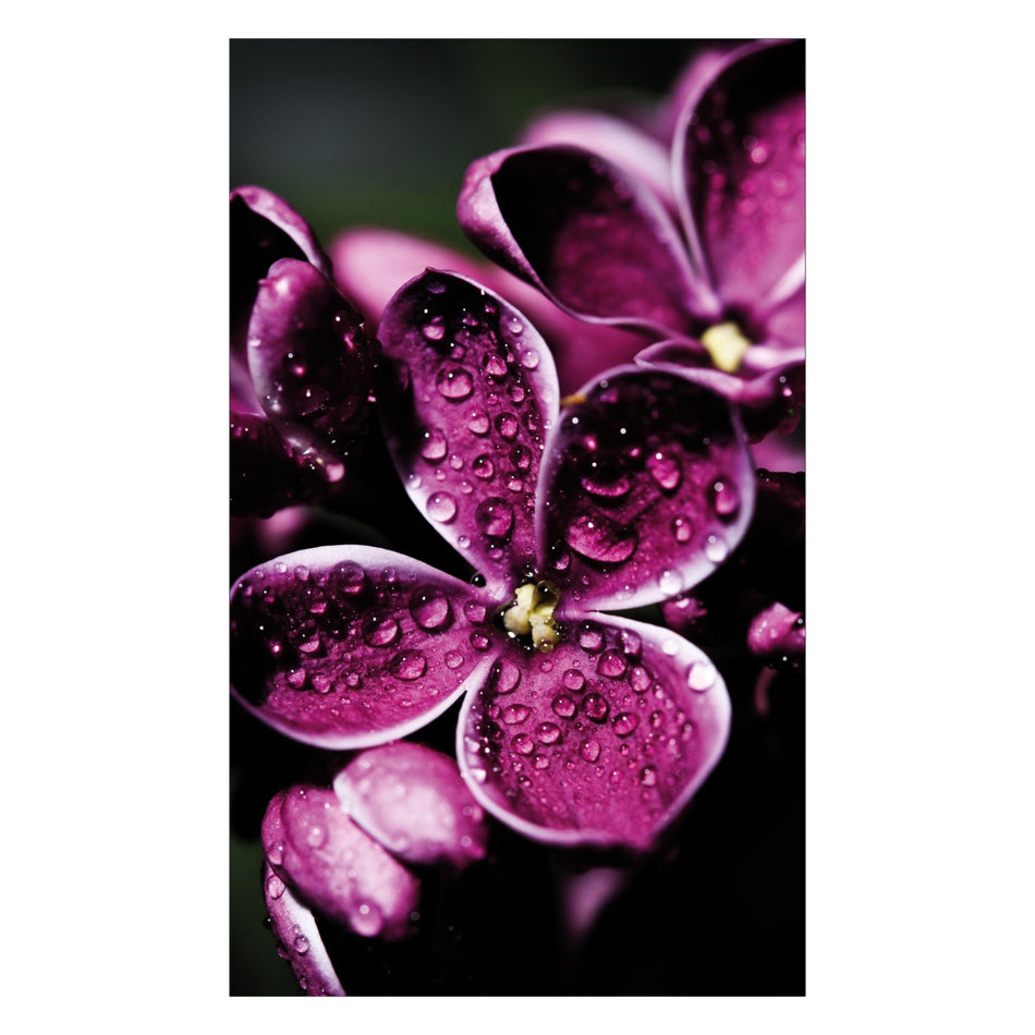 Duschrückwand nach maß