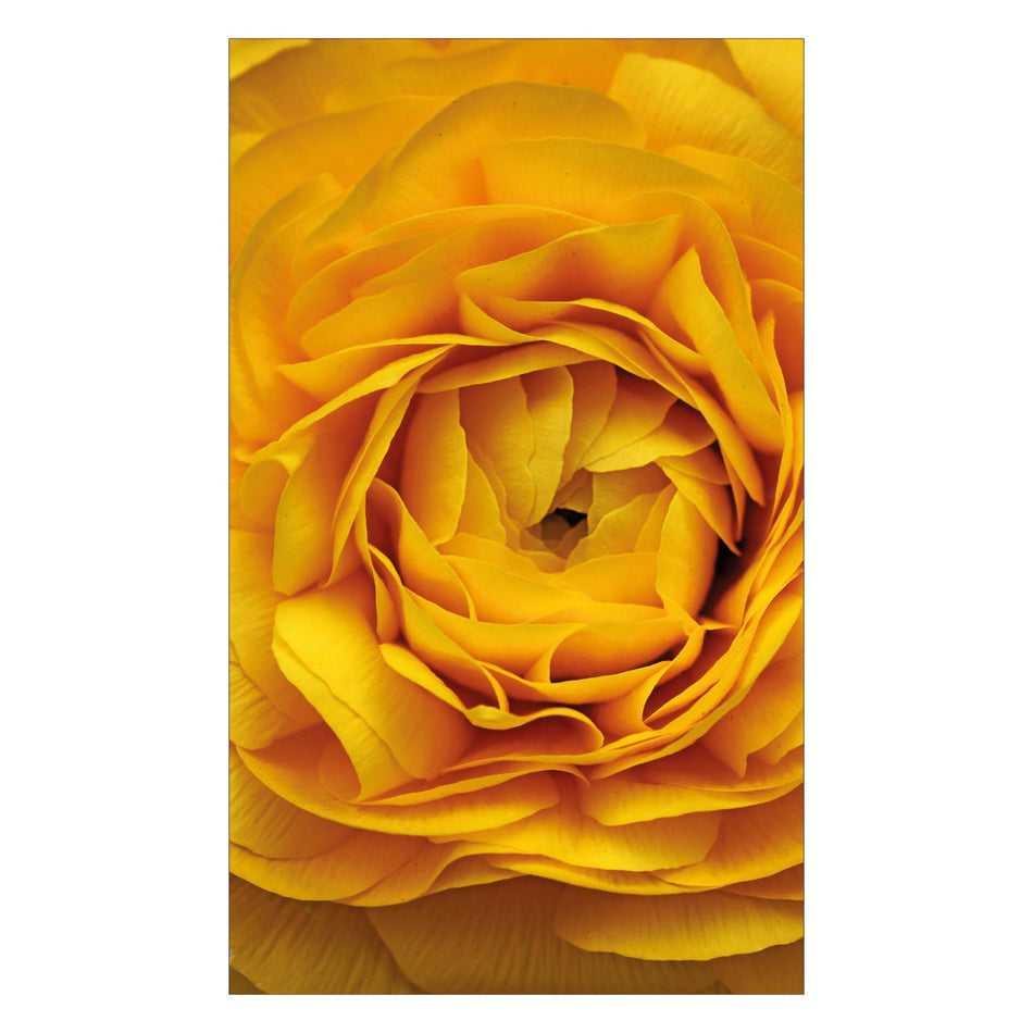 Duschrückwand nach maß