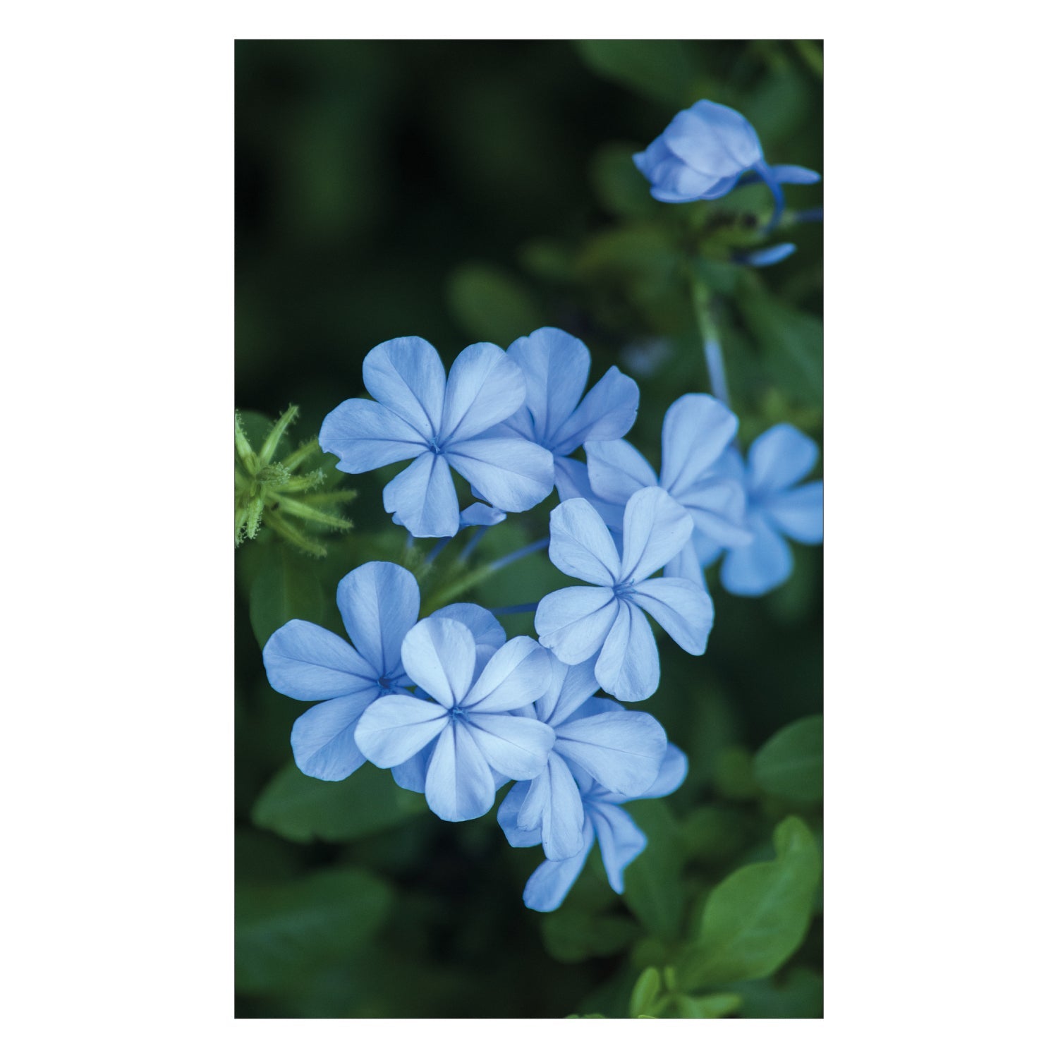 Duschrückwand nach maß