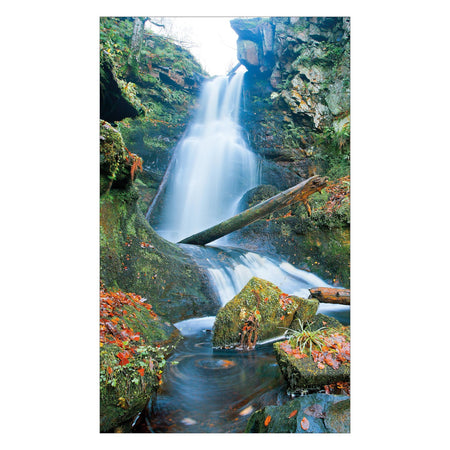 Duschrückwand nach maß