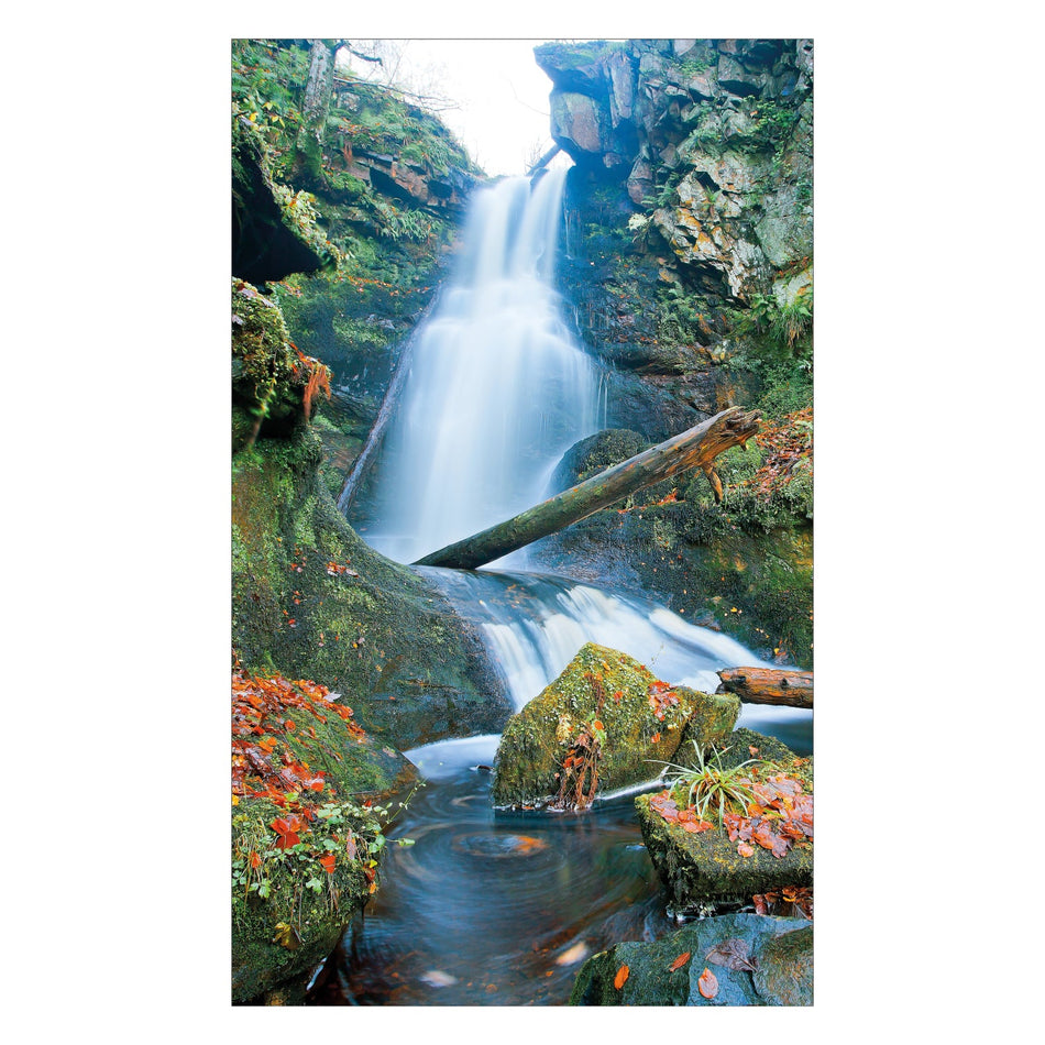 Duschrückwand nach maß