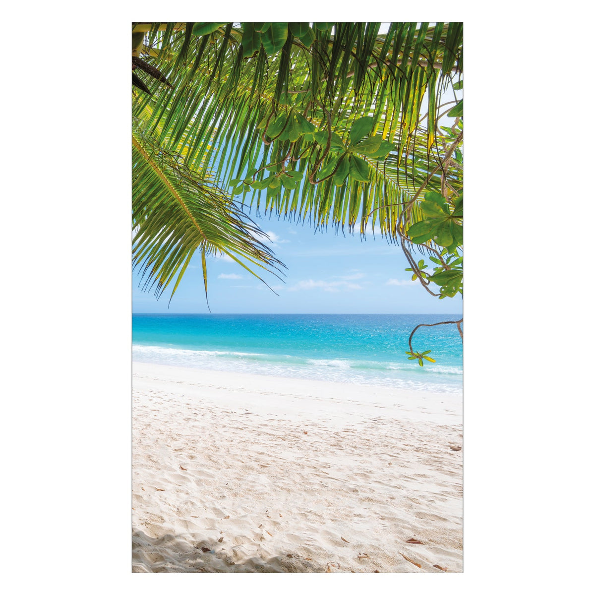 Duschrückwand nach maß