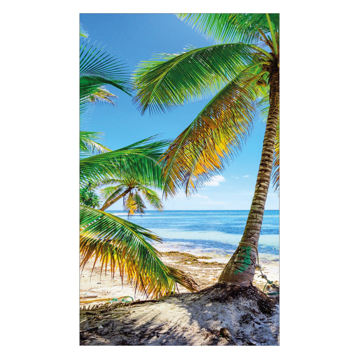 Duschrückwand nach maß