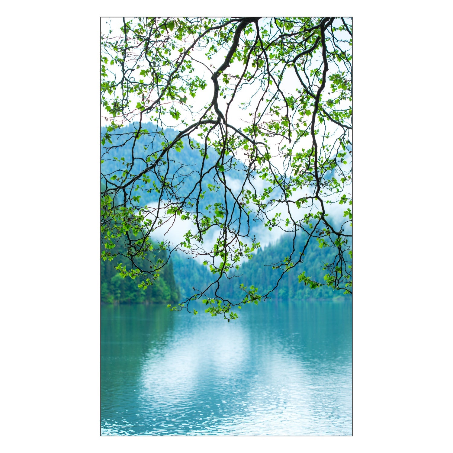 Toilettenrückwand nach maß