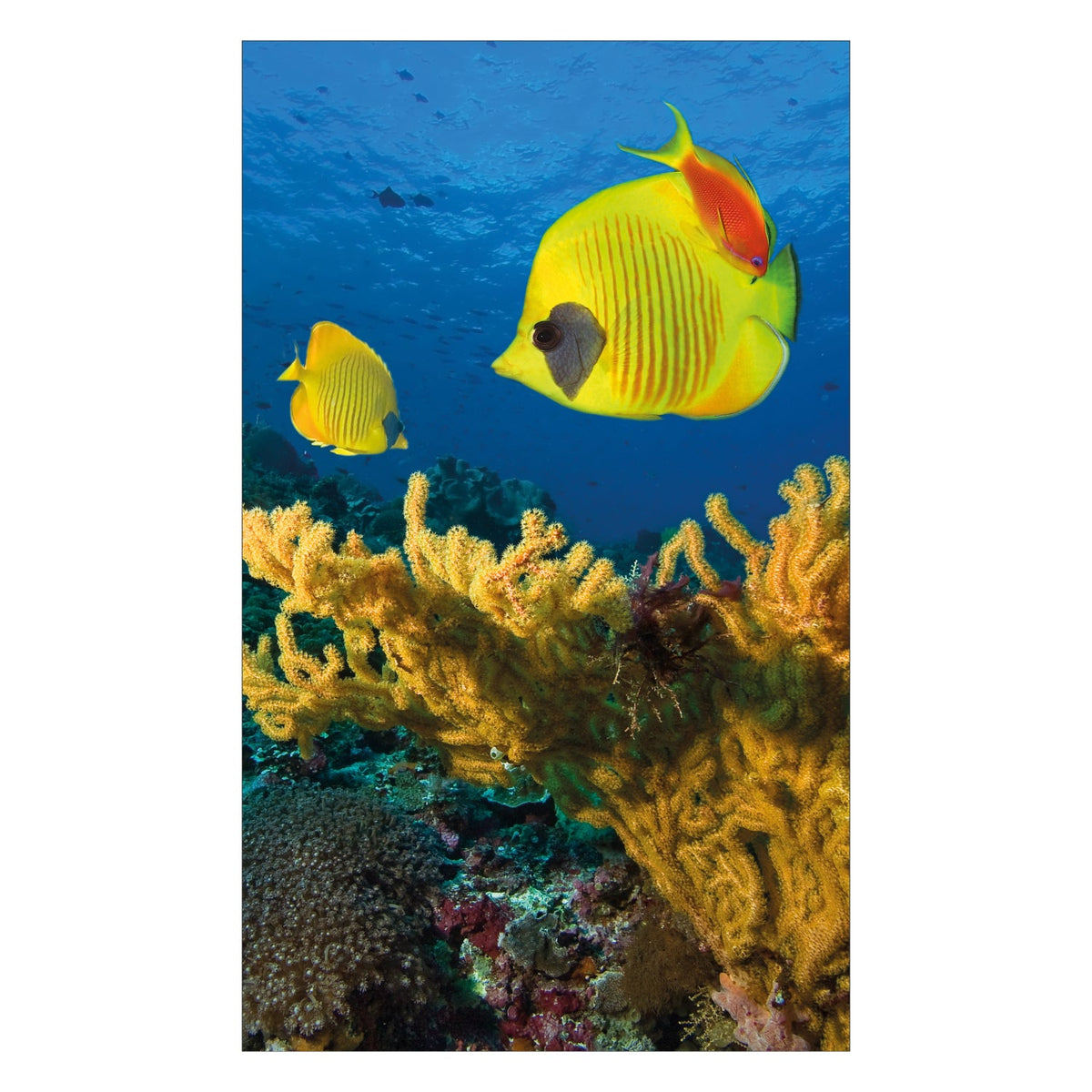 Duschrückwand nach maß