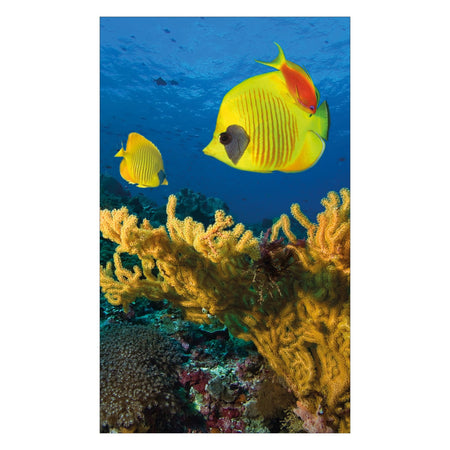 Duschrückwand nach maß