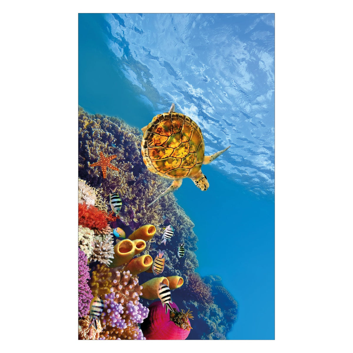 Duschrückwand nach maß