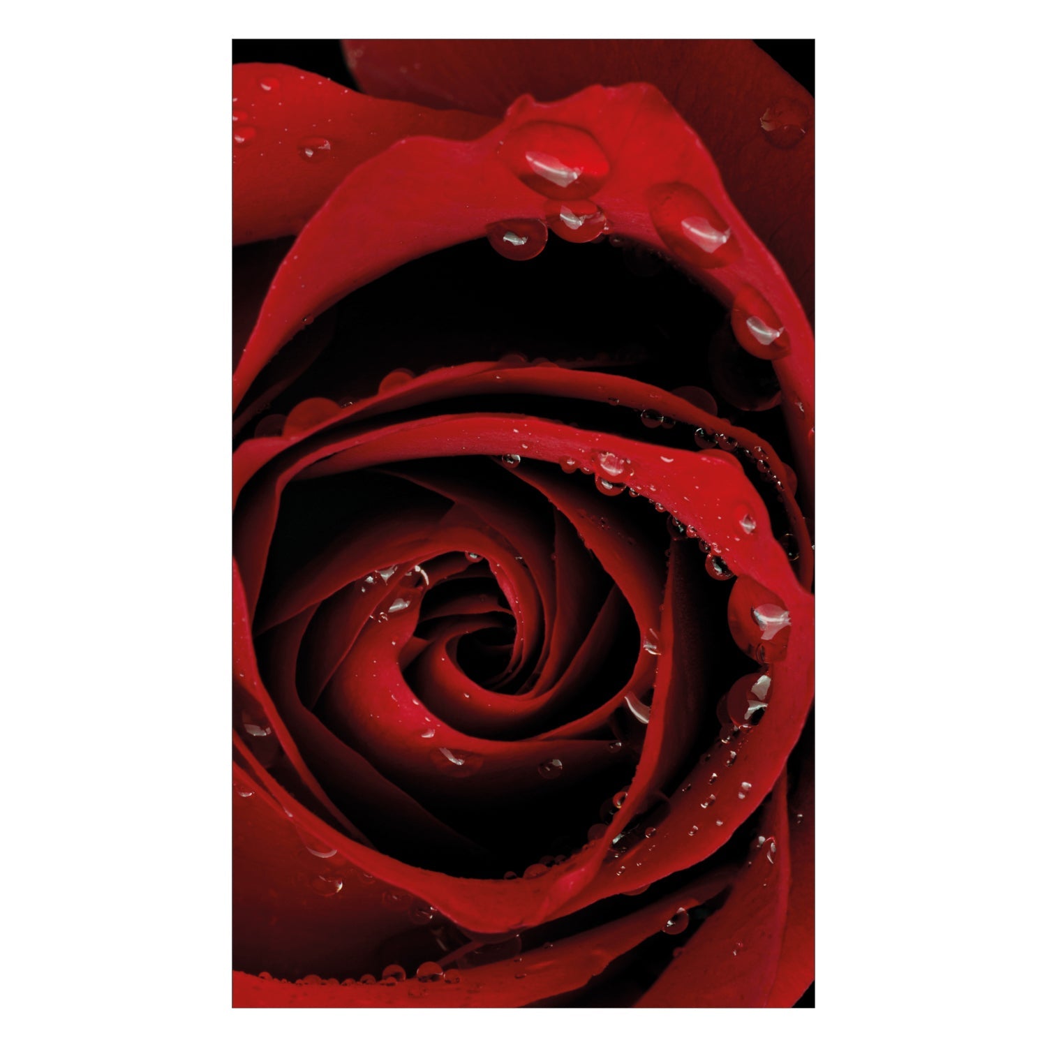 Duschrückwand nach maß