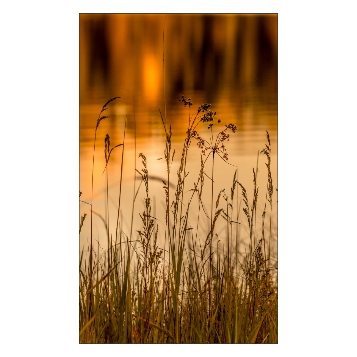 Toilettenrückwand nach maß