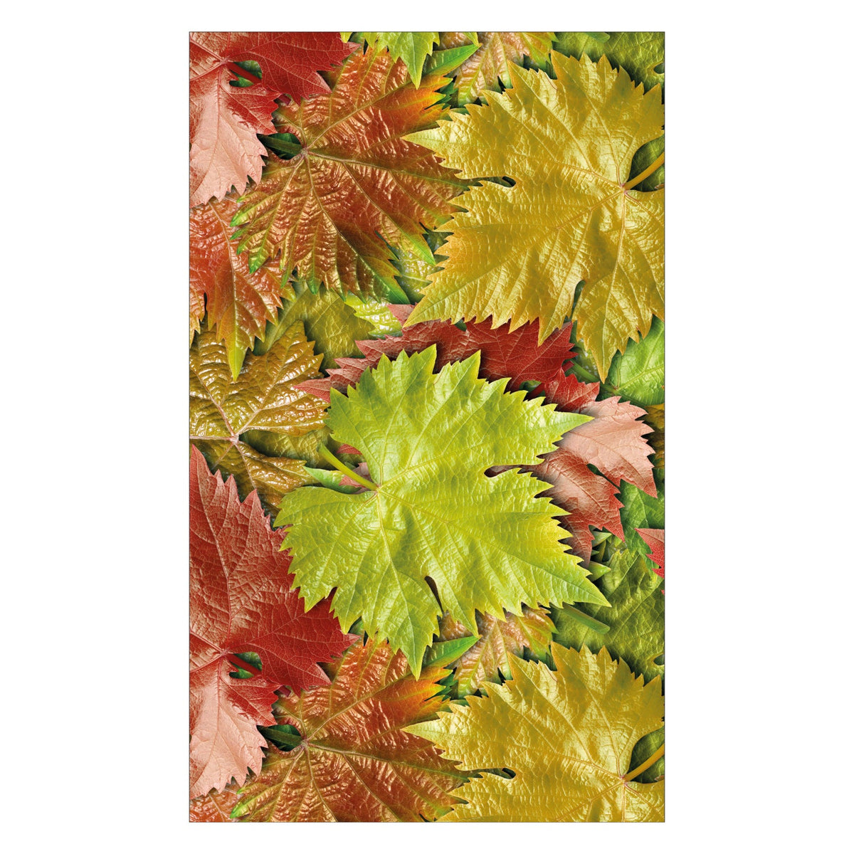 Duschrückwand nach maß