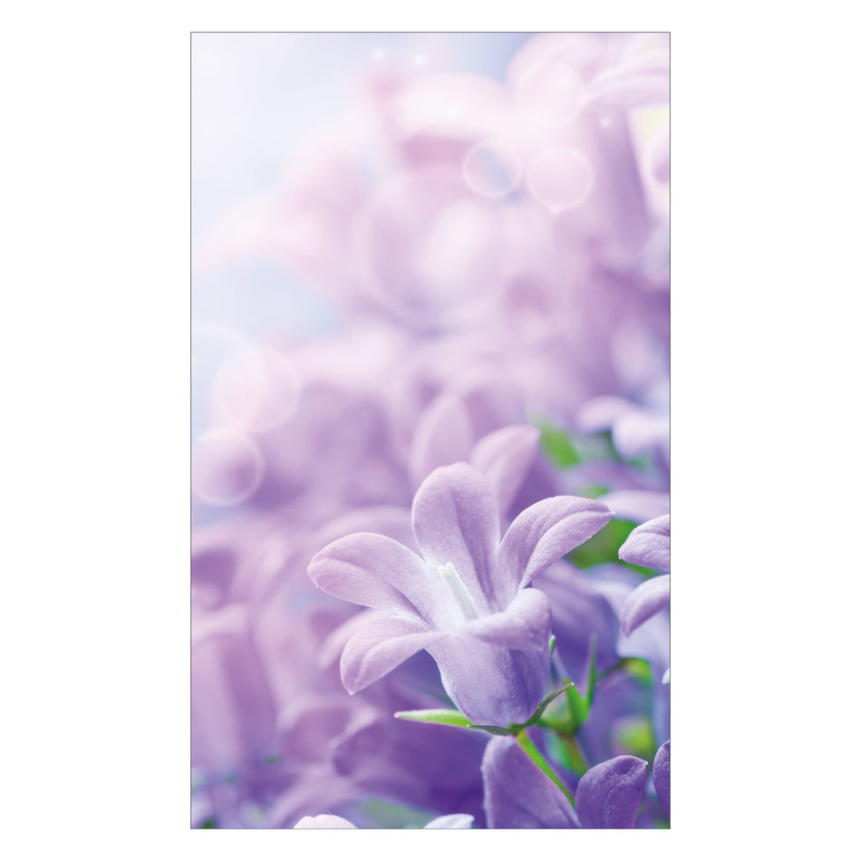 Duschrückwand nach maß