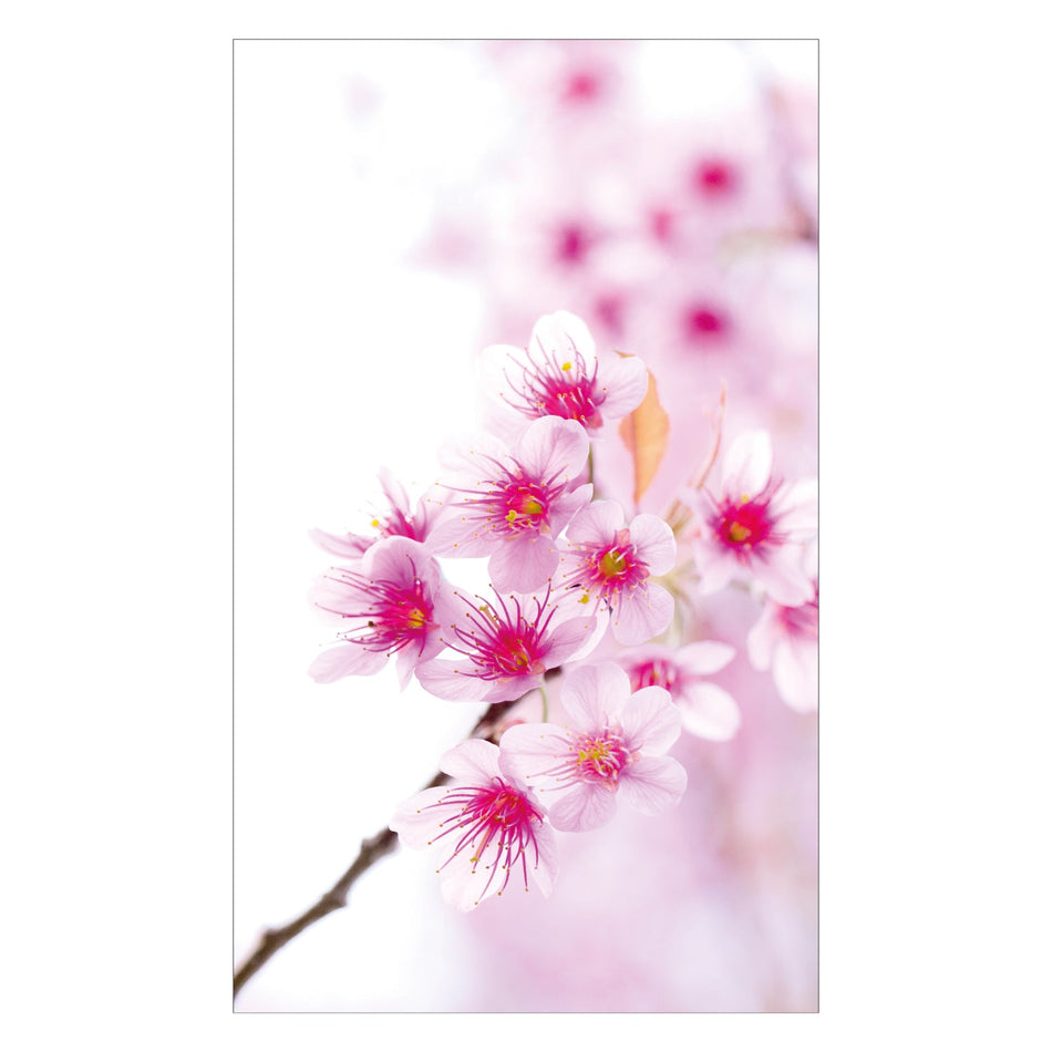 Duschrückwand nach maß