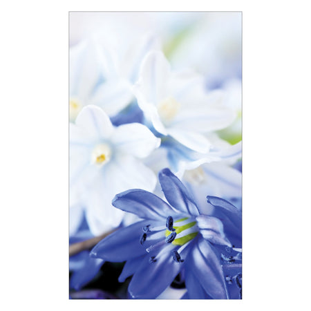 Duschrückwand nach maß