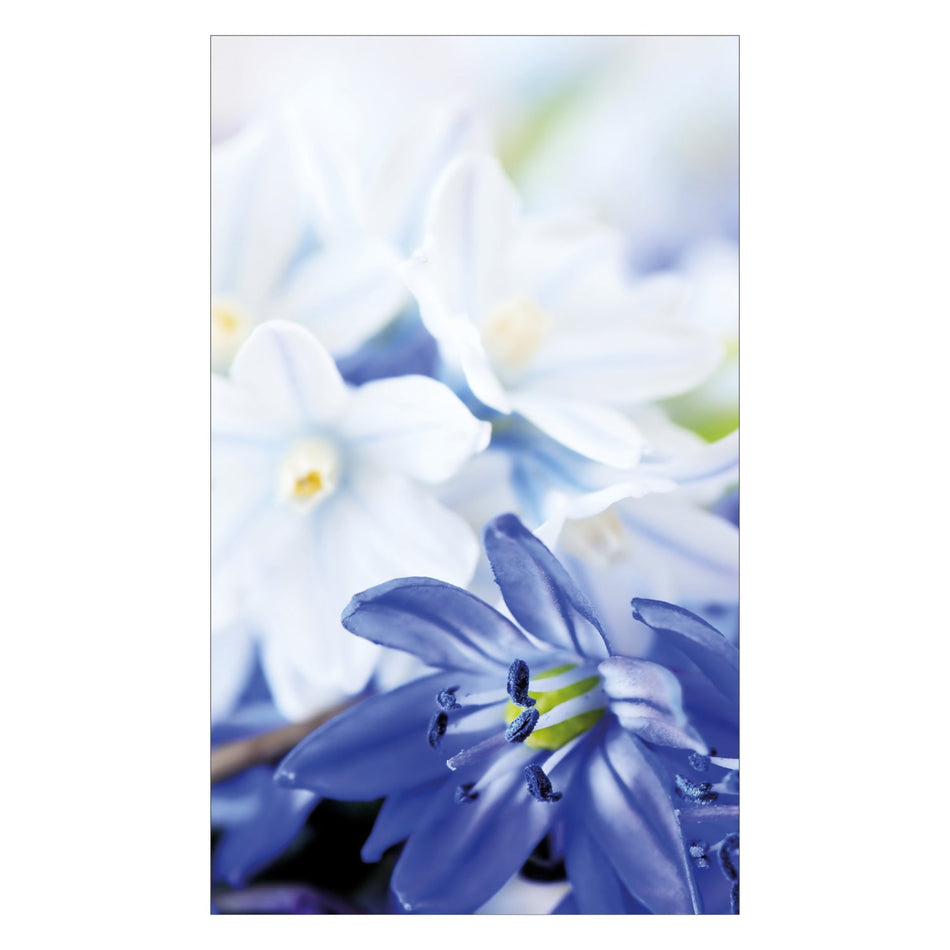 Duschrückwand nach maß