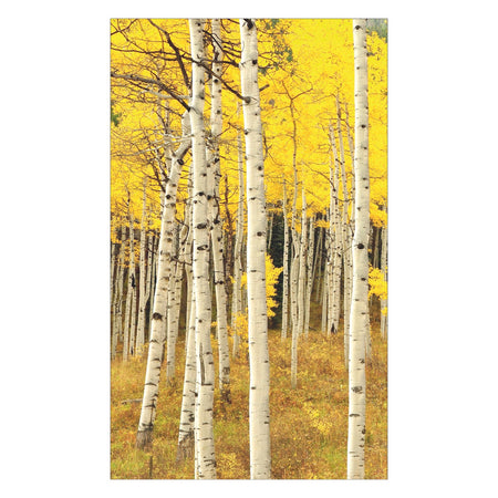 Duschrückwand nach maß