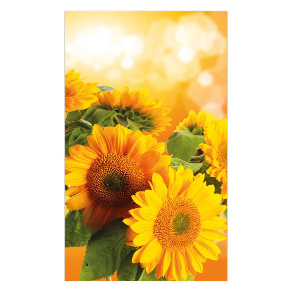 Duschrückwand nach maß