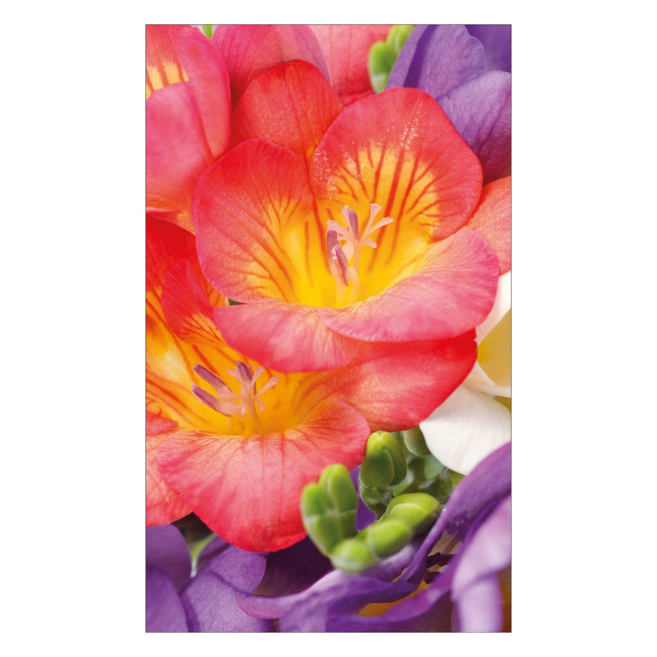 Duschrückwand nach maß