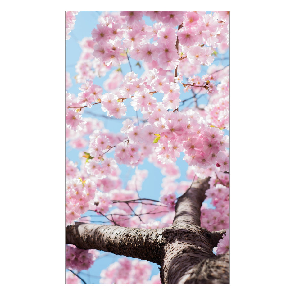 Duschrückwand nach maß