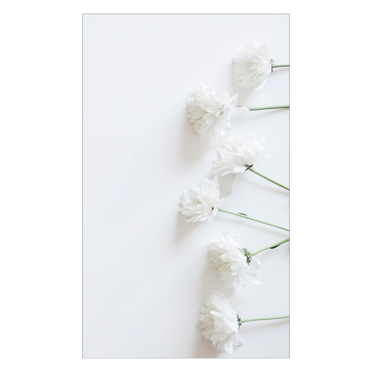 Duschrückwand nach maß