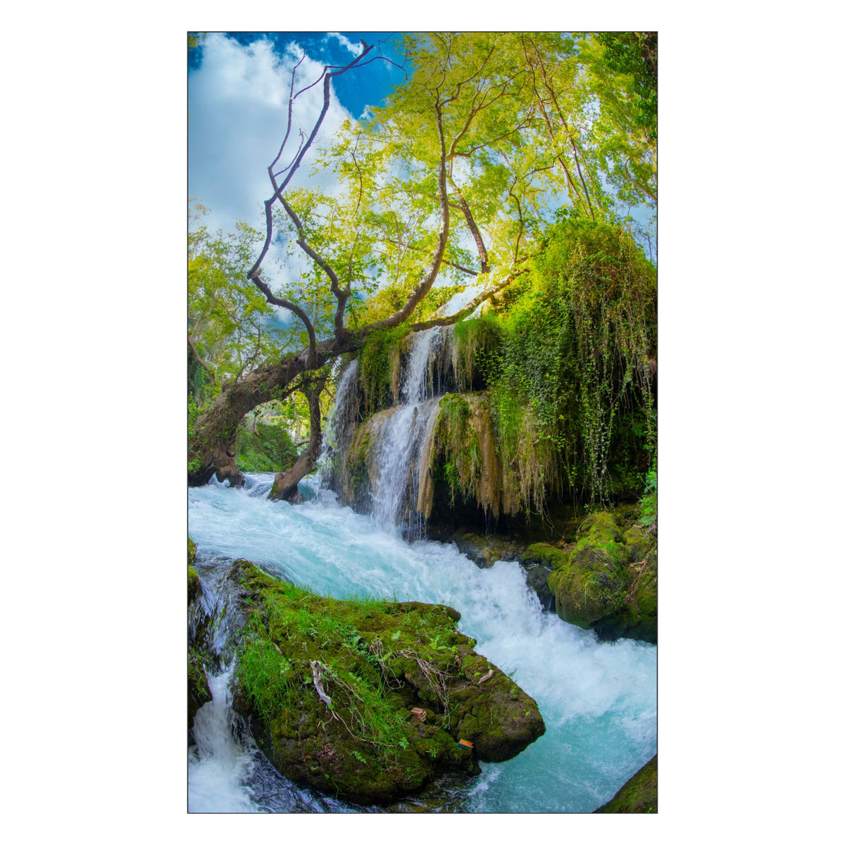 Toilettenrückwand nach maß