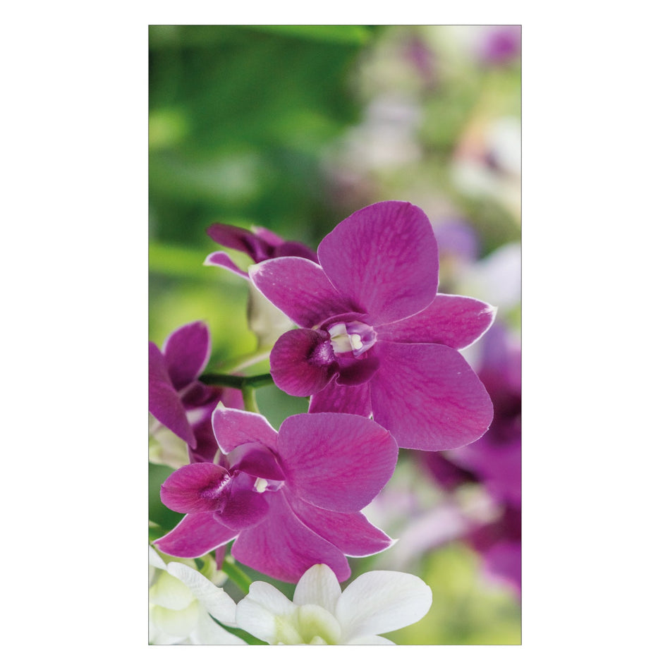 Duschrückwand nach maß