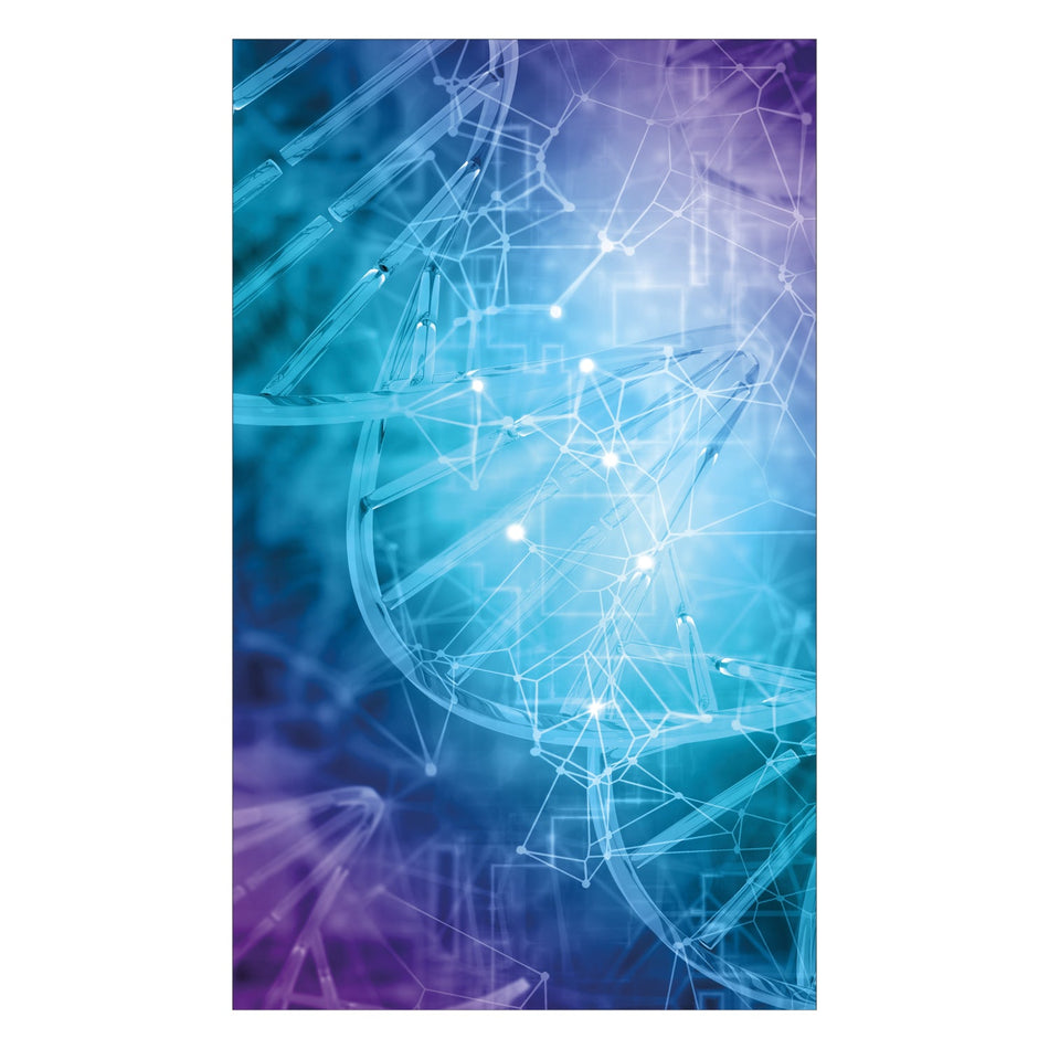 Duschrückwand nach maß