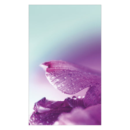 Duschrückwand nach maß