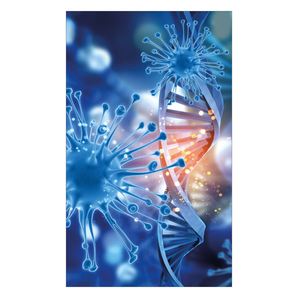 Duschrückwand nach maß