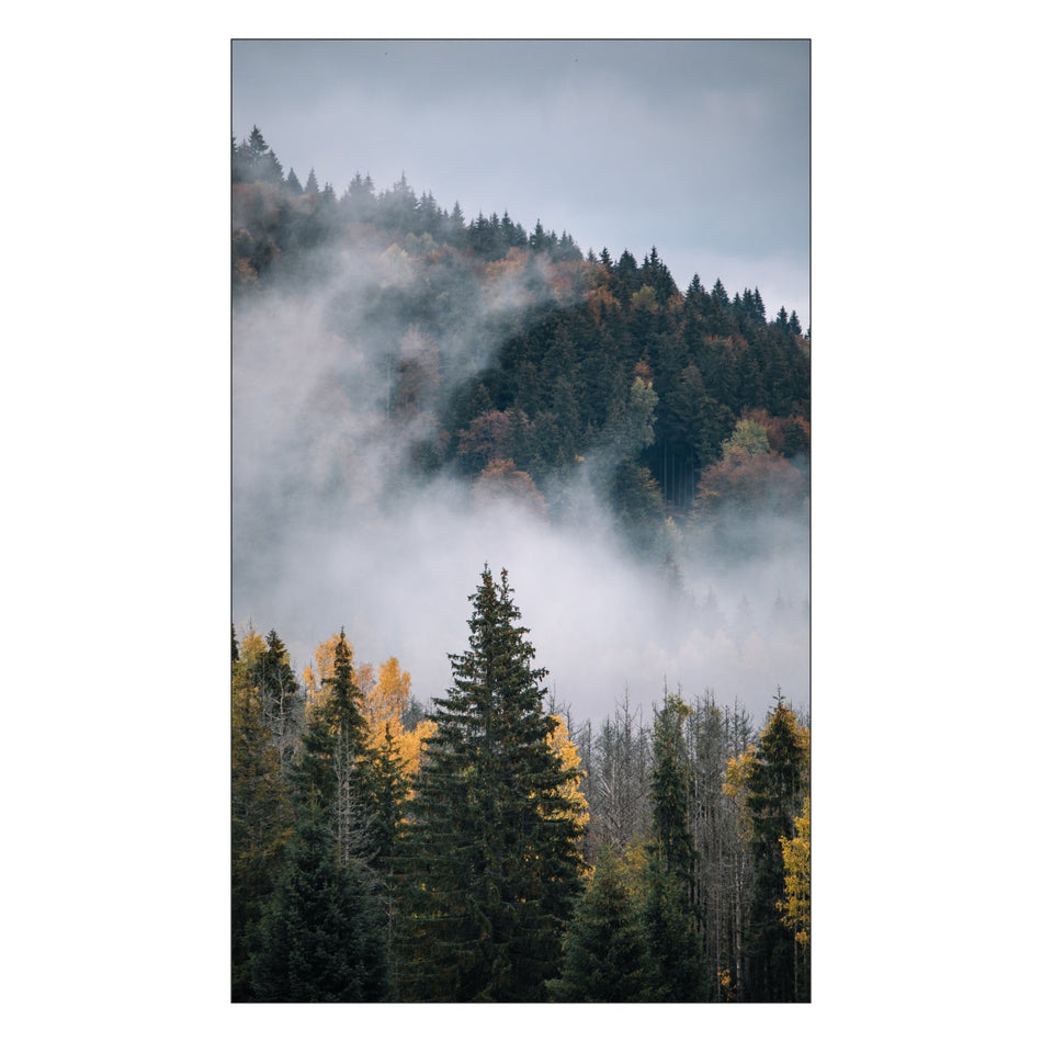 Duschrückwand nach maß