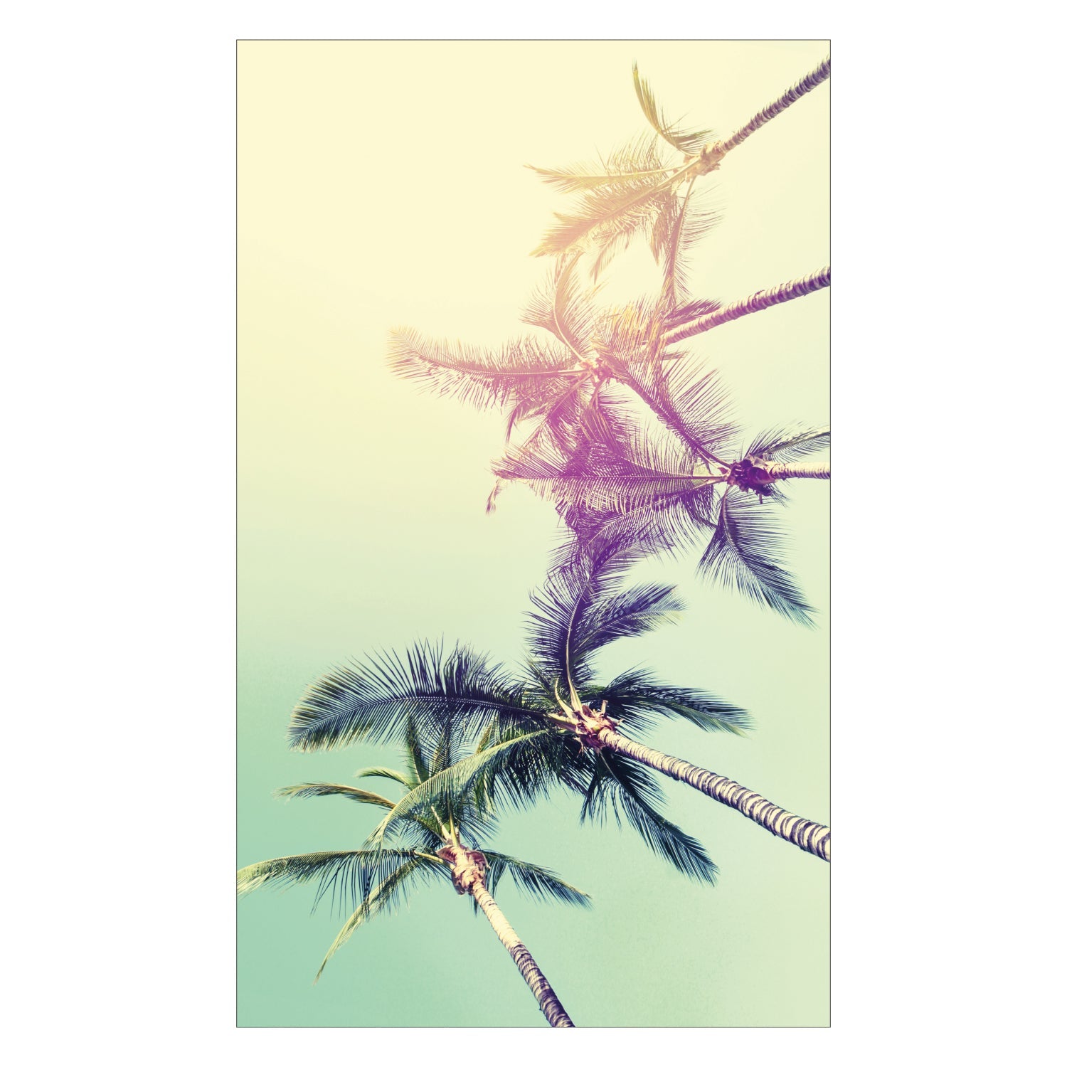 Duschrückwand nach maß