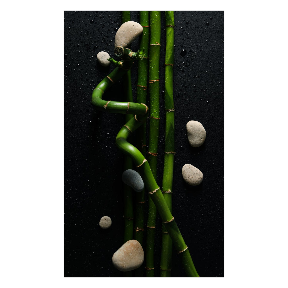 Toilettenrückwand nach maß