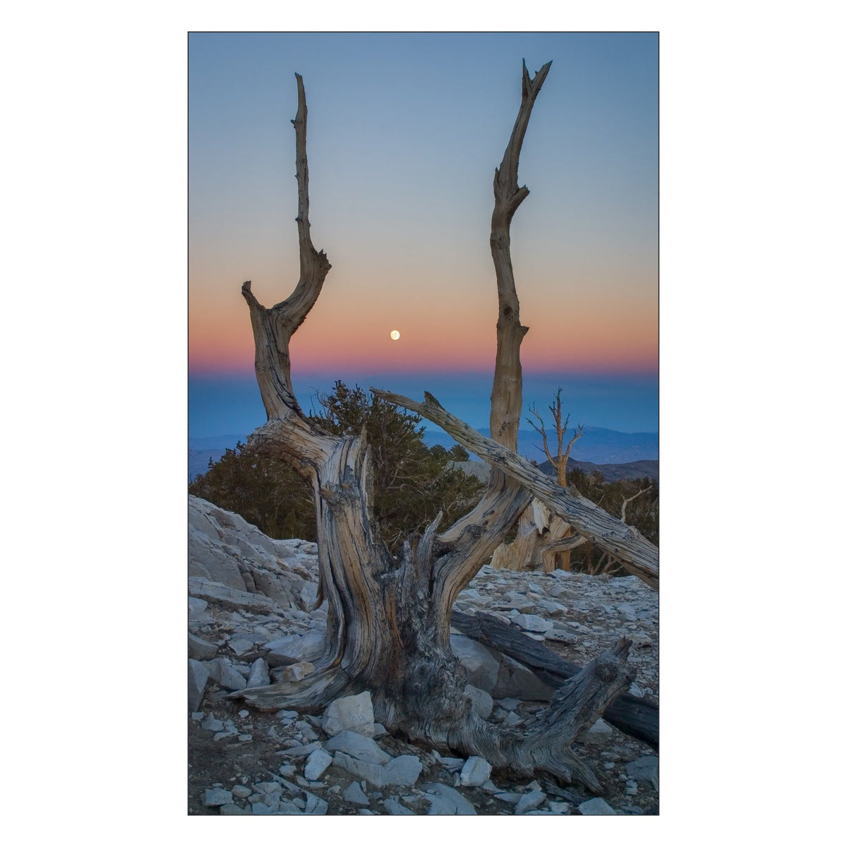Toilettenrückwand nach maß