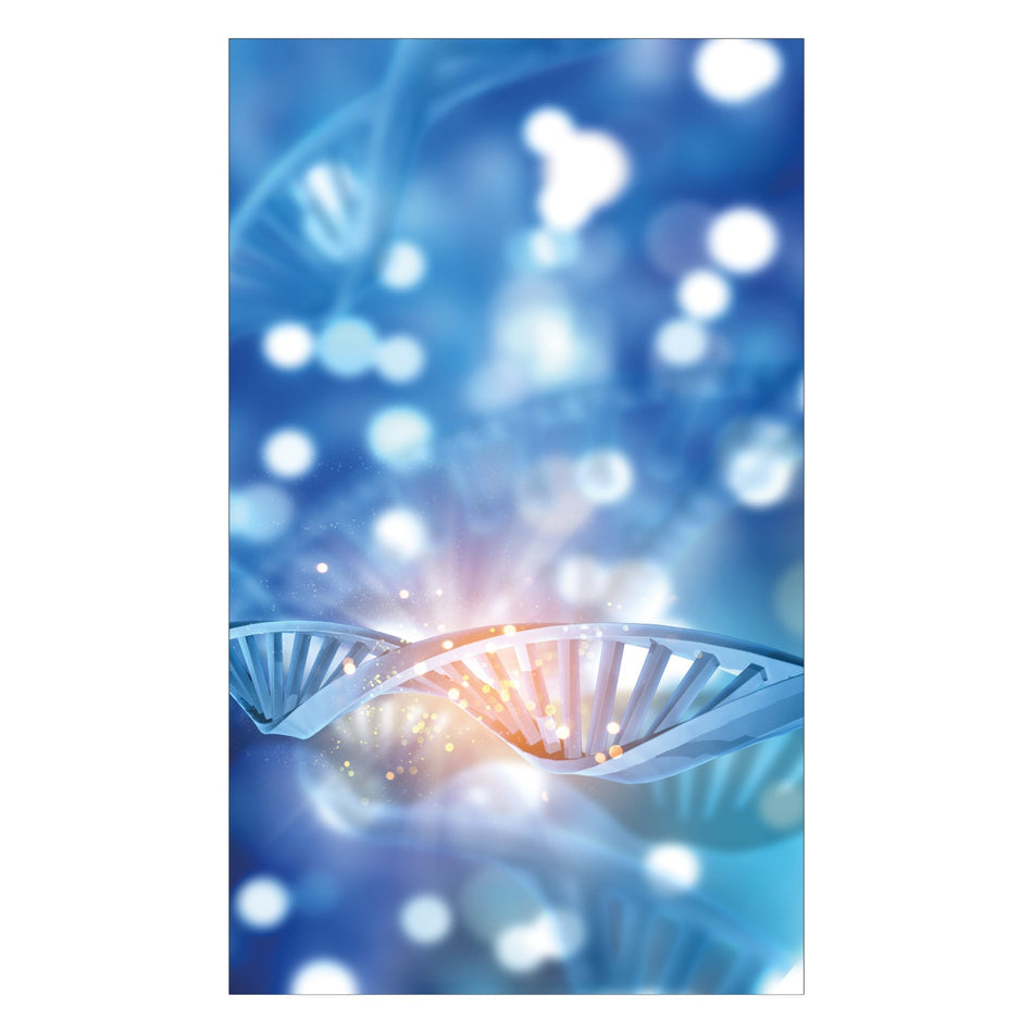 Toilettenrückwand nach maß