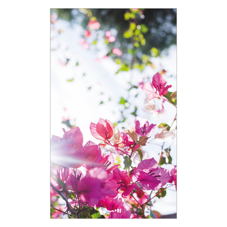 Toilettenrückwand nach maß