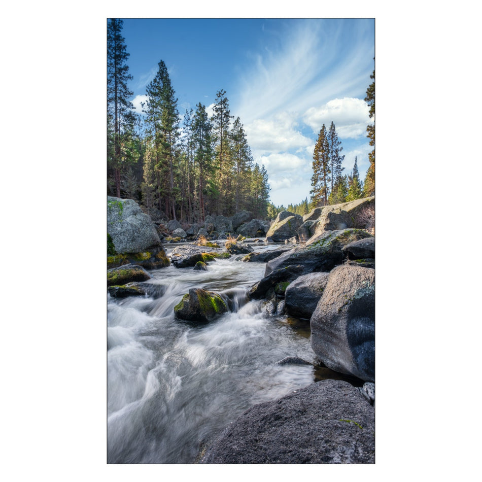 Toilettenrückwand nach maß