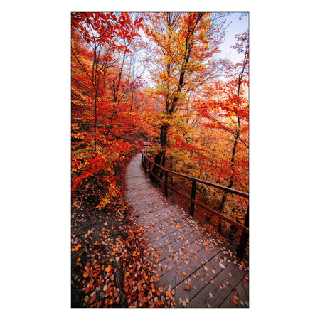 Duschrückwand nach maß