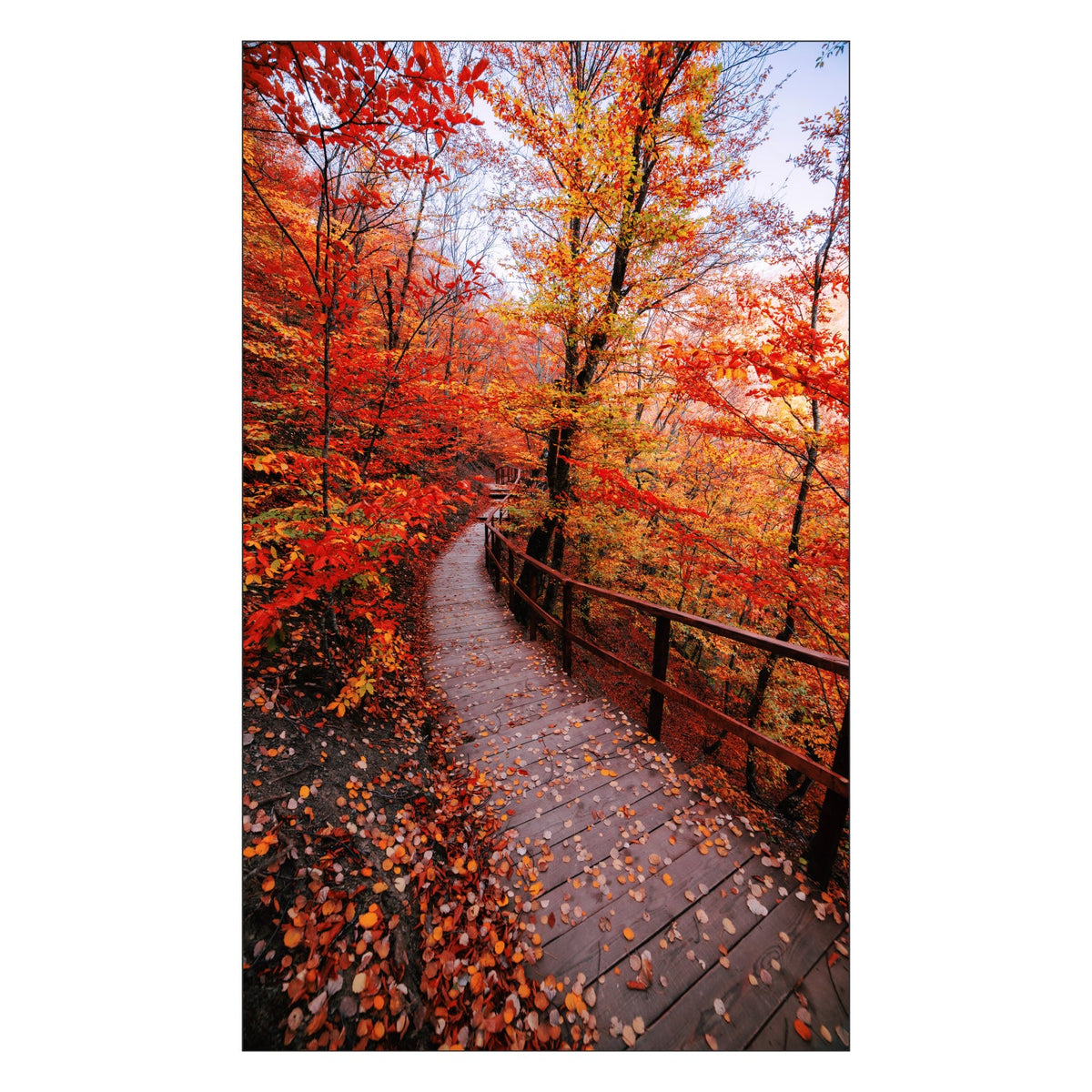 Toilettenrückwand nach maß