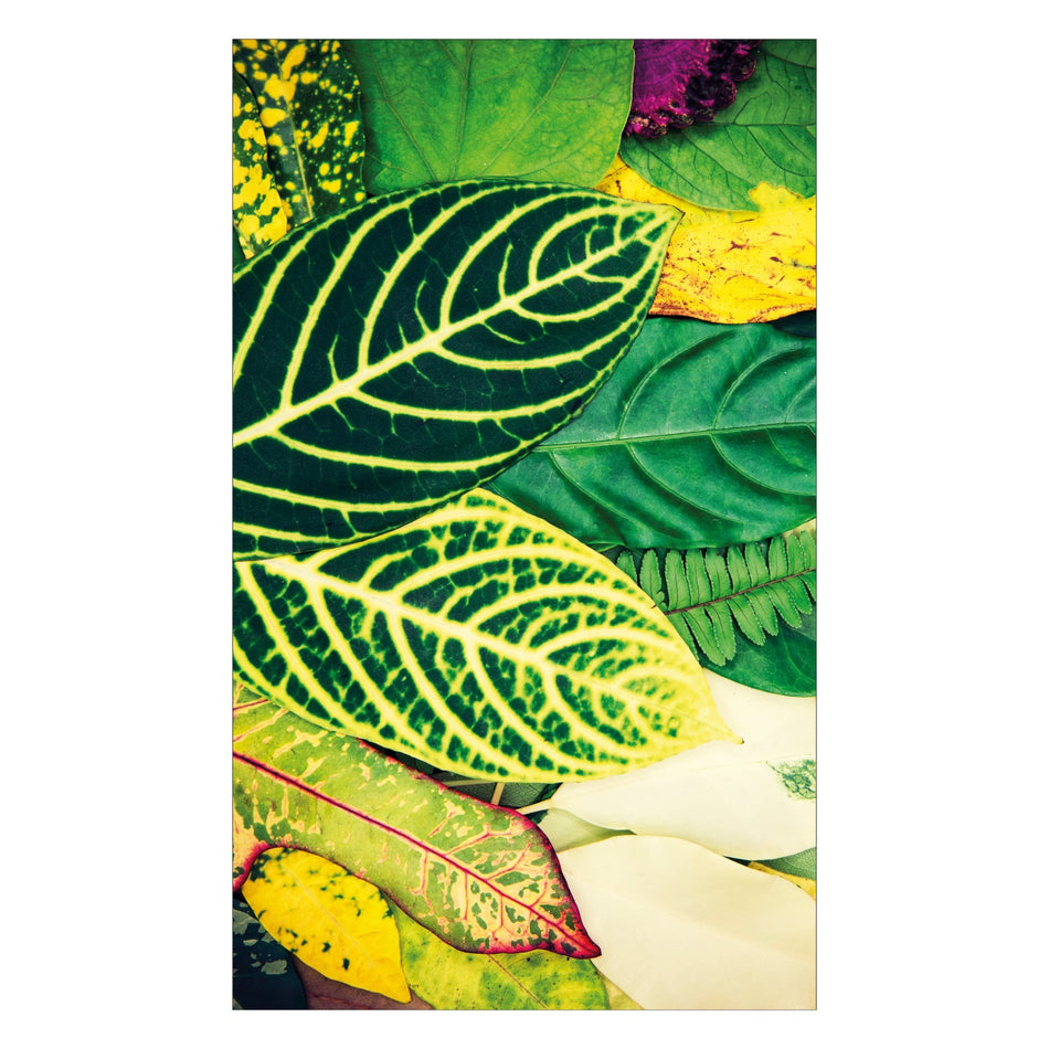 Toilettenrückwand nach maß