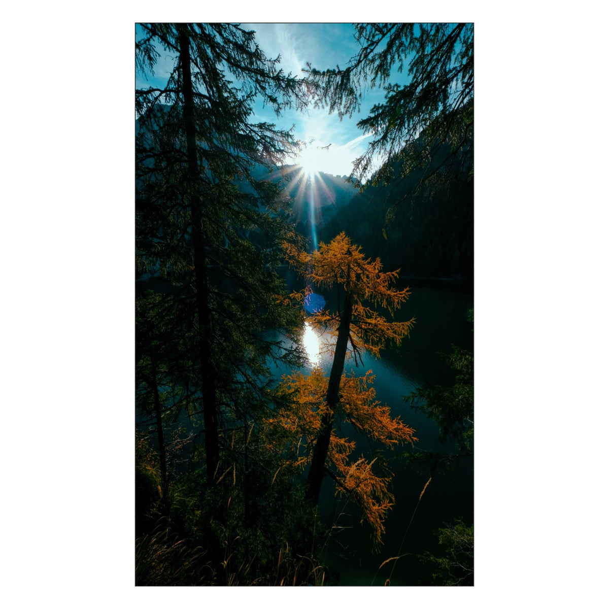 Duschrückwand nach maß