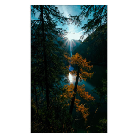 Duschrückwand nach maß