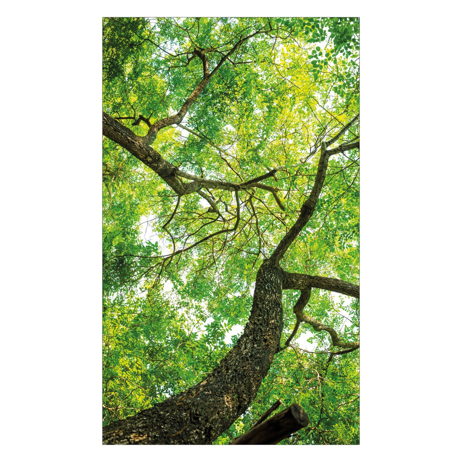 Toilettenrückwand nach maß