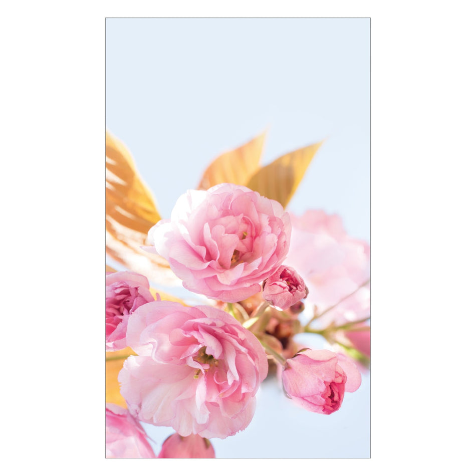 Toilettenrückwand nach maß