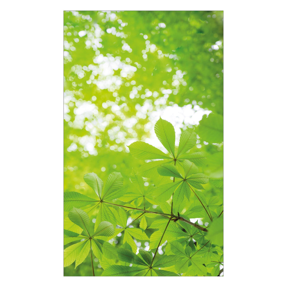 Toilettenrückwand nach maß