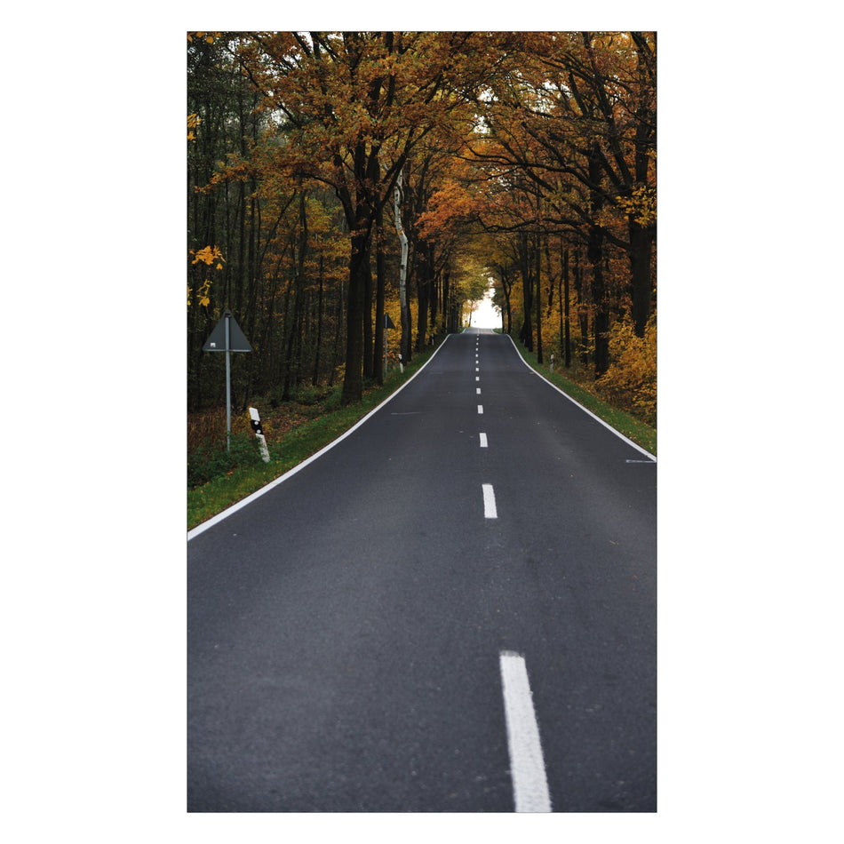 Toilettenrückwand nach maß