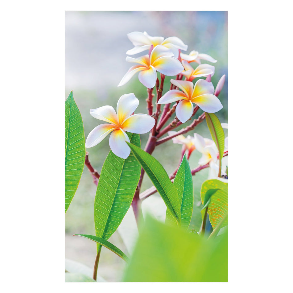 Toilettenrückwand nach maß