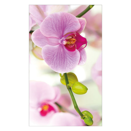 Toilettenrückwand nach maß