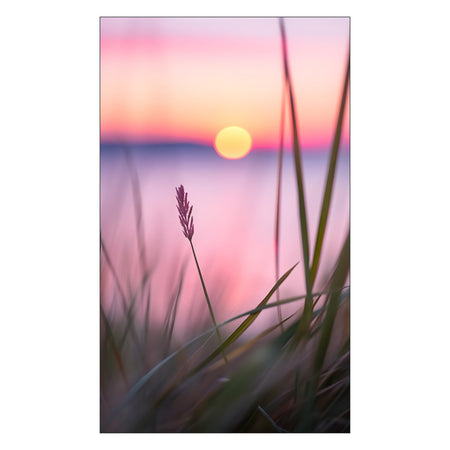 Toilettenrückwand nach maß