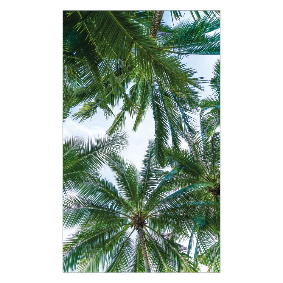 Toilettenrückwand nach maß